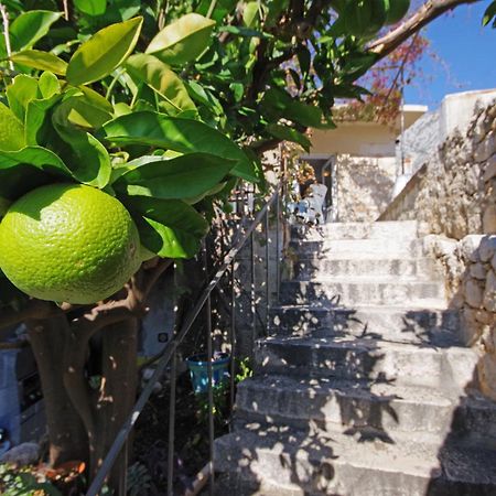 Villa Igrane Dış mekan fotoğraf